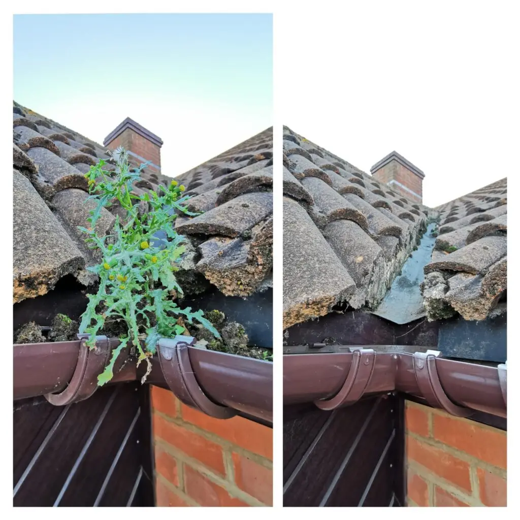 Before and After